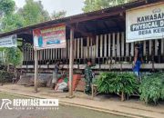 Pastikan Kesehatan Ternak, Babinsa Kertowono Lakukan Pengecekan dan Penyuluhan Etawa 8 Pastikan Kesehatan Ternak, Babinsa Kertowono Lakukan Pengecekan dan Penyuluhan Etawa