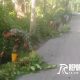 Babinsa Kalipenggung Koramil 0821/07 Randuangung bersama masyarakat bersihkan jalan dusun.