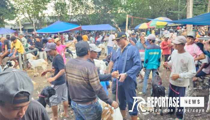 Pemkab Probolinggo Lakukan Pemeriksaan dan KIE Ternak Kurban