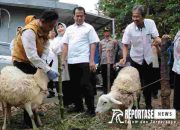 Sidak Sejumlah Lokasi, Pj Wali Kota Probolinggo Pastikan Kondisi Hewan Kurban Penuhi Unsur 'ASUH' 9 Sidak Sejumlah Lokasi, Pj Wali Kota Probolinggo Pastikan Kondisi Hewan Kurban Penuhi Unsur ‘ASUH’