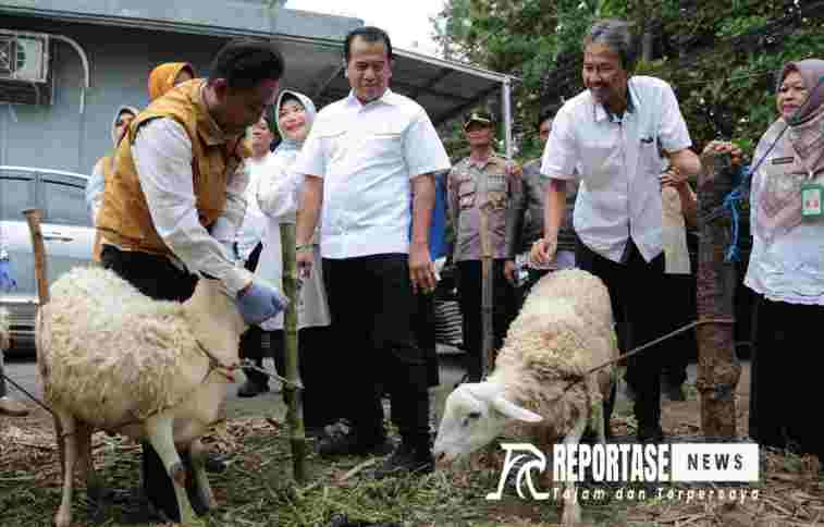 Sidak ke Sejumlah Lokasi, Pj Wali Kota Probolinggo Pastikan Kondisi Hewan Kurban Penuhi Unsur 'ASUH'