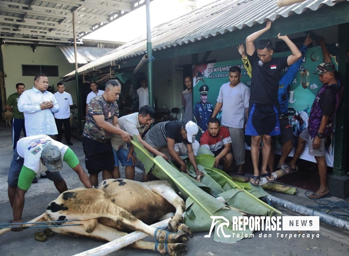 Idul Adha 1445 H, Kodim 0821 Lumajang Bagikan Daging Kurban Kepada Masyarakat 2 Komandan Kodim 0821/Lumajang, Letkol Inf Ronny Wijaya Koesuma.