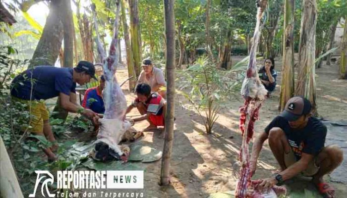Berbagi Kebahagiaan, Riea Salon Bagikan Daging Kurban ke Warga Tidak Mampu