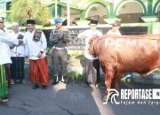 Tahun Ini, Masjid Agung Ar-Raudlah Kota Kraksaan Terima Hewan Kurban dari Gubernur Jatim 13 Tahun Ini, Masjid Agung Ar-Raudlah Kota Kraksaan Terima Hewan Kurban dari Gubernur Jatim