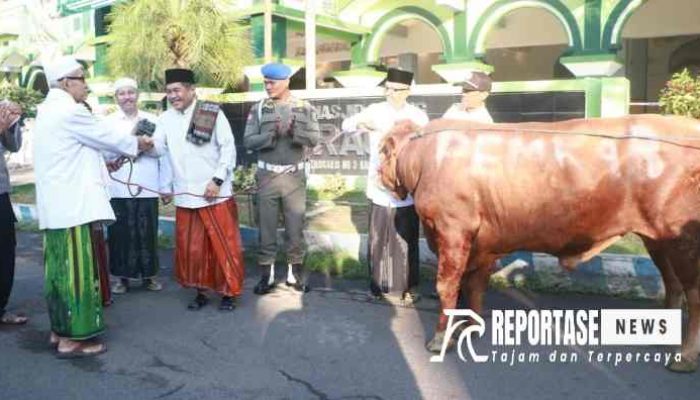 Tahun Ini, Masjid Agung Ar-Raudlah Kota Kraksaan Terima Hewan Kurban dari Gubernur Jatim