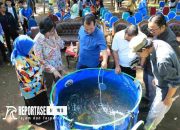 DLH Kota Probolinggo Gelar Festival 'Seminggu di TWSL' 9 DLH Kota Probolinggo Gelar Festival ‘Seminggu di TWSL’