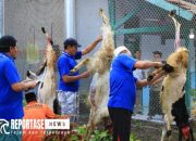 16 Hewan Qurban Warnai Perayaan Idul Adha di Lapas Banyuwangi 13 16 Hewan Qurban Warnai Perayaan Idul Adha di Lapas Banyuwangi