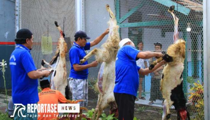 16 Hewan Qurban Warnai Perayaan Idul Adha di Lapas Banyuwangi