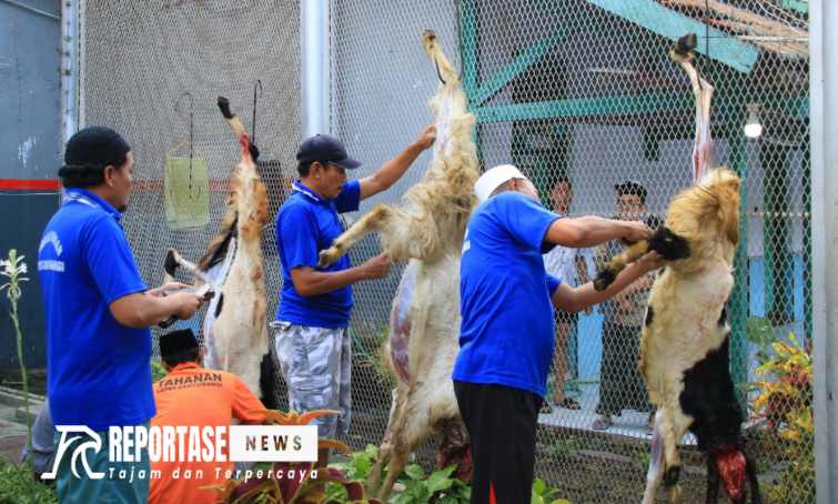 Hewan qurban diperoleh dari beberapa instansi maupun masyarakat sekitar.
