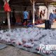 Ponpes HATI Rangkang siap bagikan ratusan paket daging kurban kepada masyarakat Kota Kraksaan.