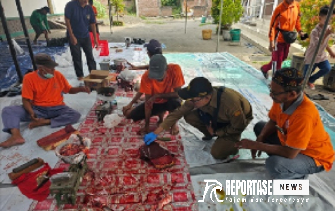 Kegiatan pengecekan hewan kurban