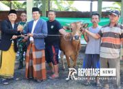 Idul Adha 1445 H, Pemkot Probolinggo Serahkan 13 Sapi dan 44 Kambing 12 Idul Adha 1445 H, Pemkot Probolinggo Serahkan 13 Sapi dan 44 Kambing