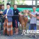 Pj Wali Kota Probolinggo saat menyerahkan hewan kurban secara simbolis.