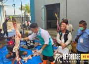 Idul Adha 1445 Hijriyah, Pemotongan Ternak Kurban Capai 2.303 Ekor 7 Idul Adha 1445 Hijriyah, Pemotongan Ternak Kurban Capai 2.303 Ekor