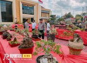 Ratusan Bonsai dari Luar Daerah Ikut Meriahkan Hari Bhayangkara ke -78 13 Ratusan Bonsai dari Luar Daerah Ikut Meriahkan Hari Bhayangkara ke -78