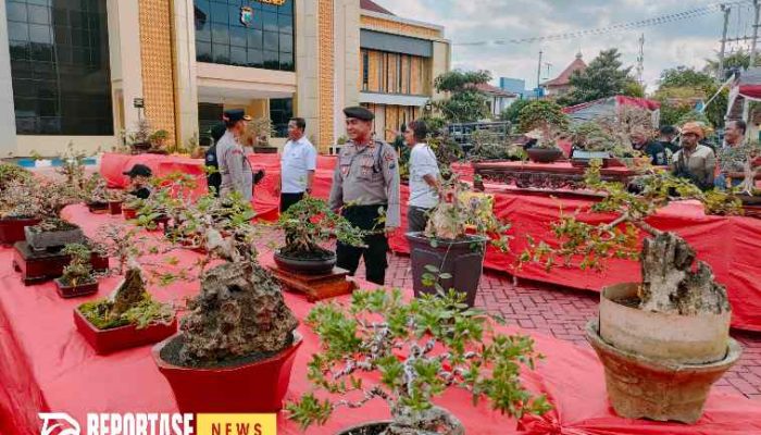 Ratusan Bonsai dari Luar Daerah Ikut Meriahkan Hari Bhayangkara ke -78 