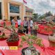 Rarusan bonsai dari luar daerah Ikut meriahkan hari Bhayangkara ke -78 di Polres Sumenep.