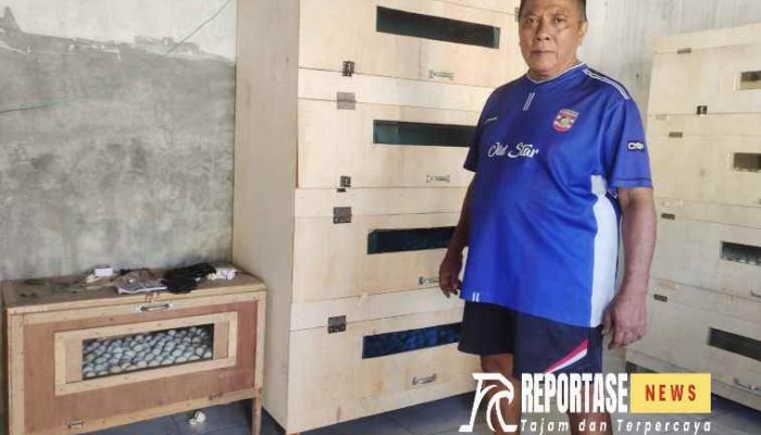 Efektivitas Vital Peningkatan pada Penetasan Telur