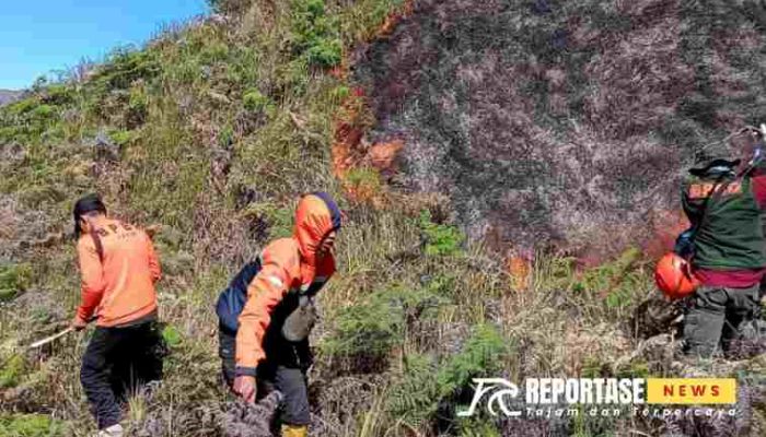 TRC PB BPBD Lakukan Pemadaman Kebakaran Hutan Gunung Batok