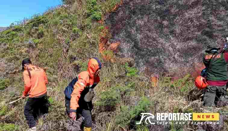 TRC PB BPBD Lakukan Pemadaman Kebakaran Hutan Di Gunung Batok