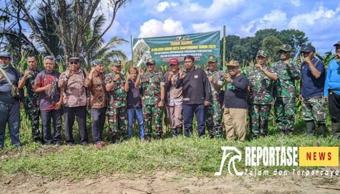 Dandim 0825/Banyuwangi dan Forkopimka Licin Tinjau Lokasi Hanpangan