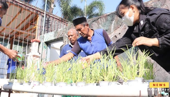 WBP Lansia Rutan Kelas IIB Kraksaan Diberi Pelatihan Budidaya Tanaman Hidroponik