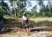 Sinergi Babinsa dan Petani: Langkah Nyata Menuju Swasembada Jagung di Randuagung 14 Sinergi Babinsa dan Petani: Langkah Nyata Menuju Swasembada Jagung di Randuagung