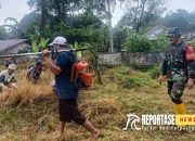 Semangat Kebersamaan, Babinsa Lempeni dan Warga Kerja Bakti Bersihkan Makam 13 Semangat Kebersamaan, Babinsa Lempeni dan Warga Kerja Bakti Bersihkan Makam