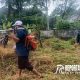 Semangat Kebersamaan, Babinsa Lempeni dan Warga Kerja Bakti Bersihkan Makam