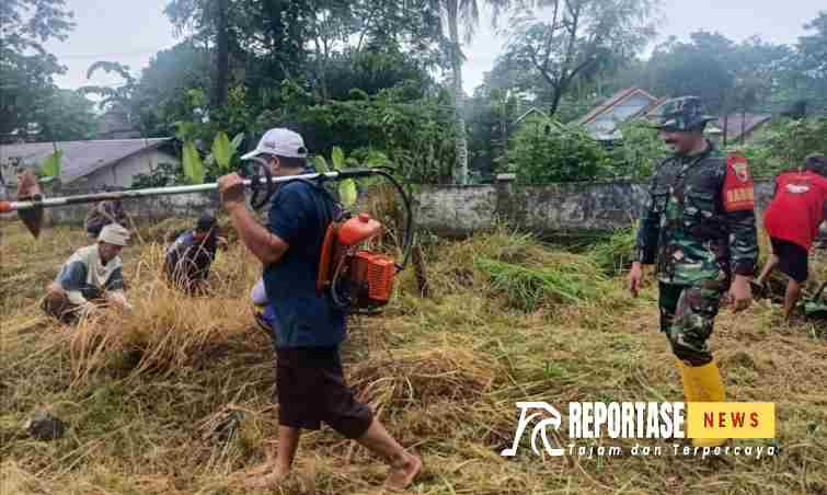 Semangat Kebersamaan, Babinsa Lempeni dan Warga Kerja Bakti Bersihkan Makam