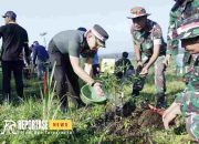 Peringati Hari Bhayangkara ke-78, Kodim Lumajang Laksanakan Penanaman Pohon 8 Peringati Hari Bhayangkara ke-78, Kodim Lumajang Laksanakan Penanaman Pohon