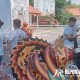 Timses Demo Bupati Banyuwangi, IWB Angkat Bicara