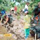 Babinsa Curahpetung Posramil 0821/05 Kedungjajang, Sertu Jumaan turun bersama masyarakat.