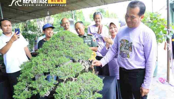 Kontes Bonsai, Tabulampot Anggur dan Pameran Produk Unggulan Pertanian Warnai Semipro 2024
