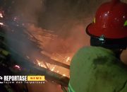 Breakingnews: Si Jago Merah Lalap Kebun Bambu di Parsanga 8 Breakingnews: Si Jago Merah Lalap Kebun Bambu di Parsanga