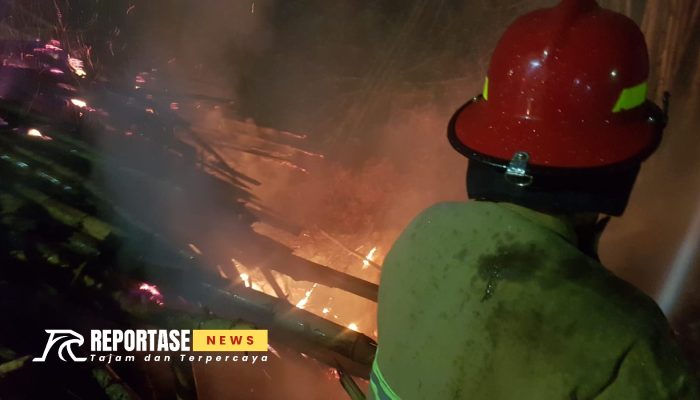 Breakingnews: Si Jago Merah Lalap Kebun Bambu di Parsanga