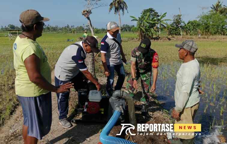 pendampingan Babinsa kegiatan pompanisasi bersama kelompok tani (Poktan) Ngudi Tani