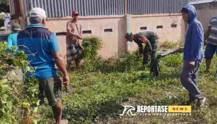 Babinsa hadir dan ikut melaksanakan karya Bakti dihalaman KUD