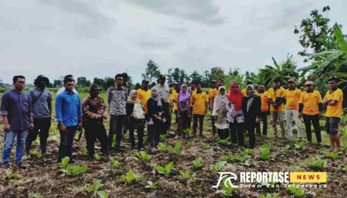 Diperta Probolinggo Gelar SL Penumbuhan Agropreneur Muda Tembakau