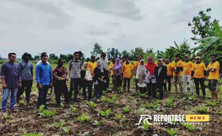 Dinas Perkebunan Provinsi Jawa Timur bersama Dinas Pertanian (Diperta) Kabupaten Probolinggo menggelar Sekolah Lapang Penumbuhan Agropreneur Muda Tembakau Paiton