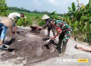 Peran Aktif Babinsa Sumbersari dalam Meningkatkan Irigasi Pertanian 7 Peran Aktif Babinsa Sumbersari dalam Meningkatkan Irigasi Pertanian