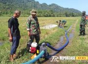 Babinsa Tempursari Dukung Hampangan dengan Pendampingan Pompanisasi 13 Babinsa Tempursari Dukung Hampangan dengan Pendampingan Pompanisasi