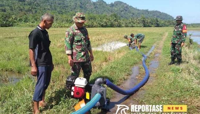 Babinsa Tempursari Dukung Hampangan dengan Pendampingan Pompanisasi