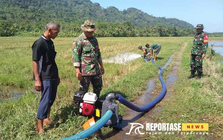 Peltu Dwi Hasim As'ari, melaksanakan kegiatan pendampingan ketahanan pangan