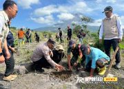 Babinsa dan Stakeholder Supiturang Bersama Mahasiswa Tanam Pohon Lahan Erupsi Semeru 9 Babinsa dan Stakeholder Supiturang Bersama Mahasiswa Tanam Pohon Lahan Erupsi Semeru