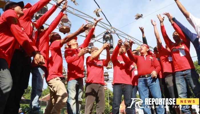 Harkopnas ke-77, DKUPP Probolinggo Gelar Lomba Gacoran Perkutut Lokal