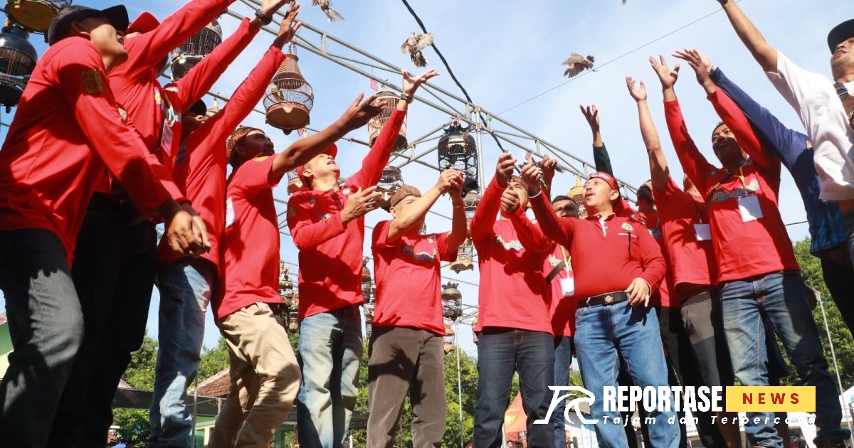 Lomba Gacoran Perkutut Lokal Piala Bupati Probolinggo tahun 2024 di halaman UPT Metrologi Legal Desa Alassumur Kulon Kecamatan Kraksaan
