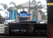 Tak Kunjung Selesai, BRI Cabang Lumajang Abaikan Aduan Nasabah 8 Tak Kunjung Selesai, BRI Cabang Lumajang Abaikan Aduan Nasabah