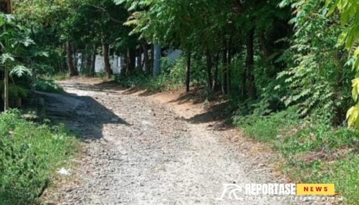 Kondisi Jalan Rusak di Masalembu Jadi Sorotan Masyarakat