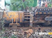 Cuitan Anak Pulau yang Pulang Kampung 11 Cuitan Anak Pulau yang Pulang Kampung